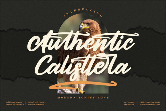 Authentic Calisttera: A Modern Brushed Script Font for Thoughtful Design