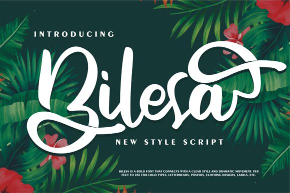 Bilesa Script Font for Playful Digital Branding