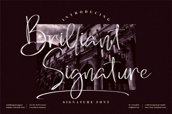 Brilliant Signature: Elegant Script for Modern Branding