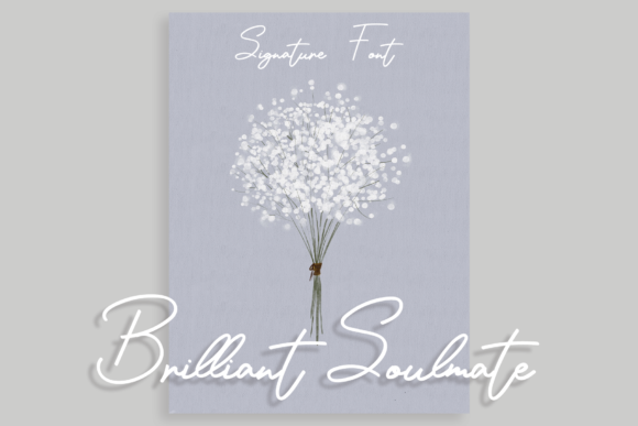Brilliant Soulmate: A Script Handwritten Font That Makes Your Campaigns Instantly Recognizable