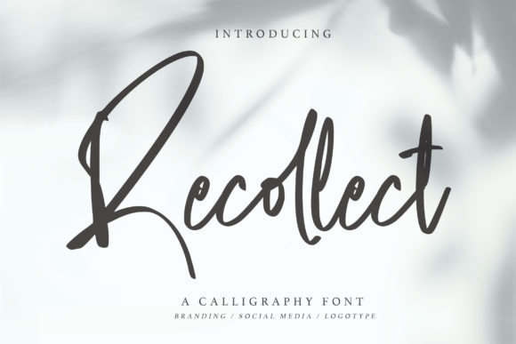 Recollect Font: Elegant Script for Designers