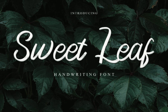Sweet Leaf: A Refined Script Font for Elegant Brand Identity