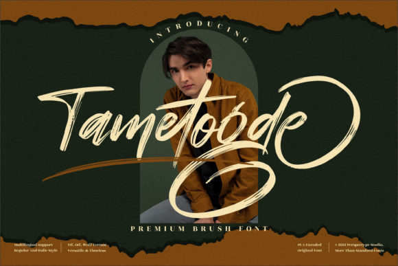 Tametogde Font: Bold Brushed Script for Handmade Brands